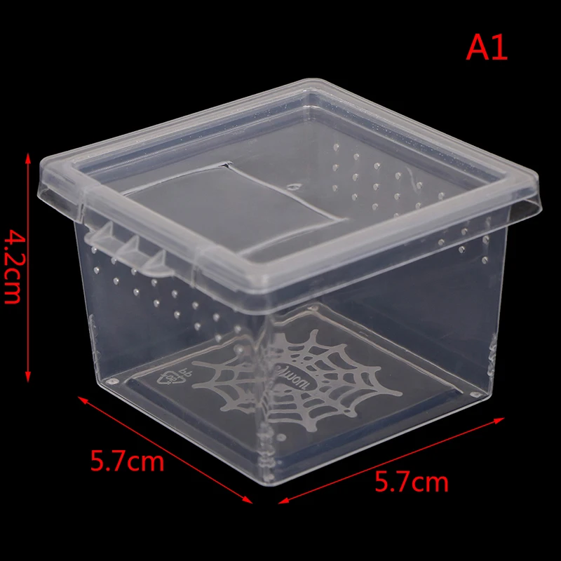 Insekten Terrarium Fütterung Box Transportbehälter Käfig durchsichtig Kunststoff - Bild 8 von 8